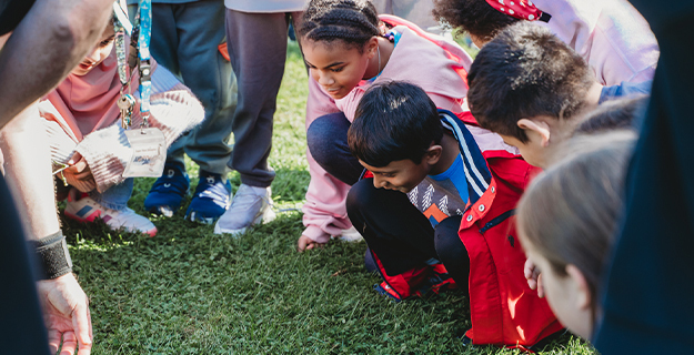 Bethpage fourth graders explore Nature Discovery Gardens