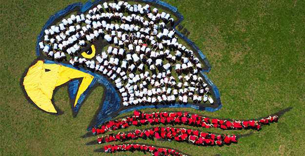 Bethpage elementary students make Art for the Sky with aerial artist David Dancer