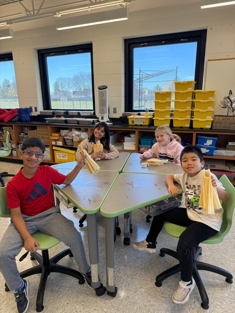 the beginning stages