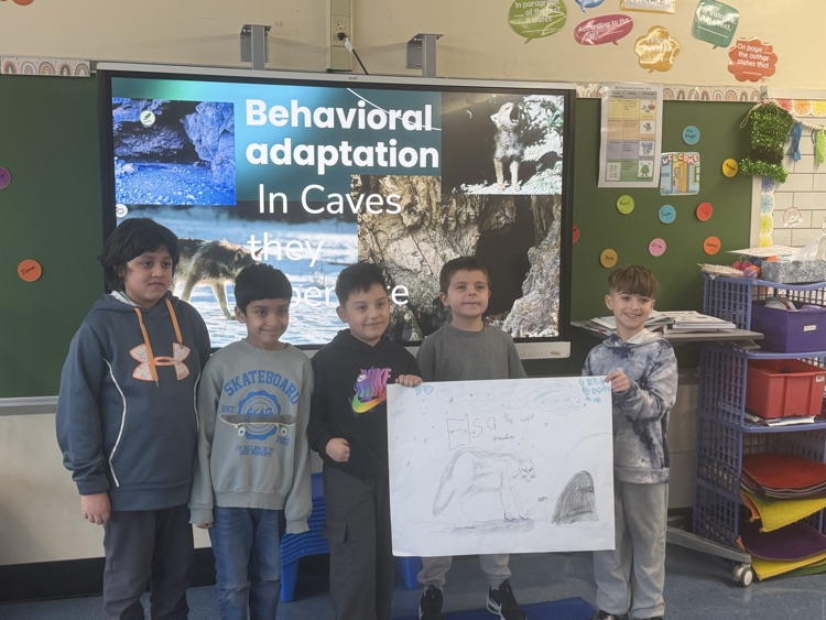 Science presentations in Sokowlowski and Wright’s class.