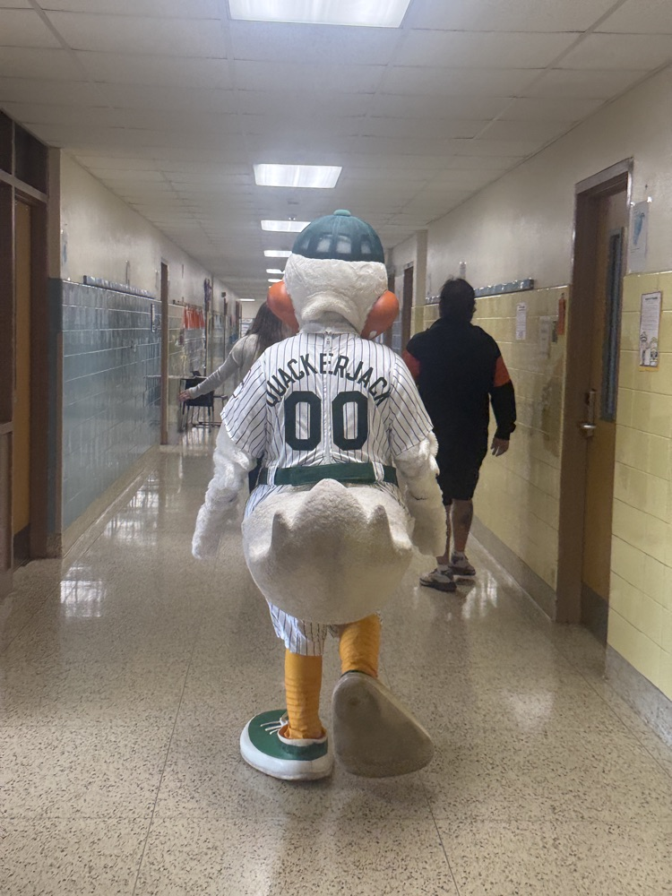 duck  