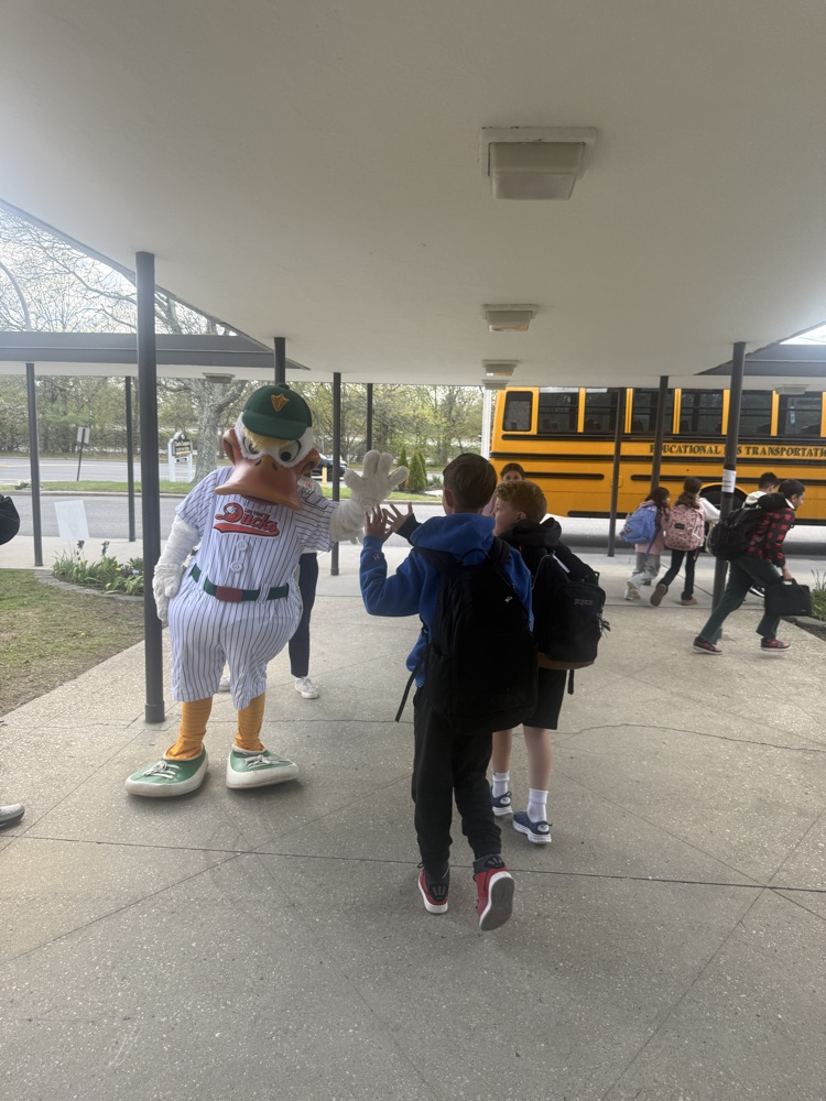 duck 4