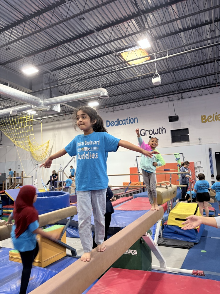 balance beam