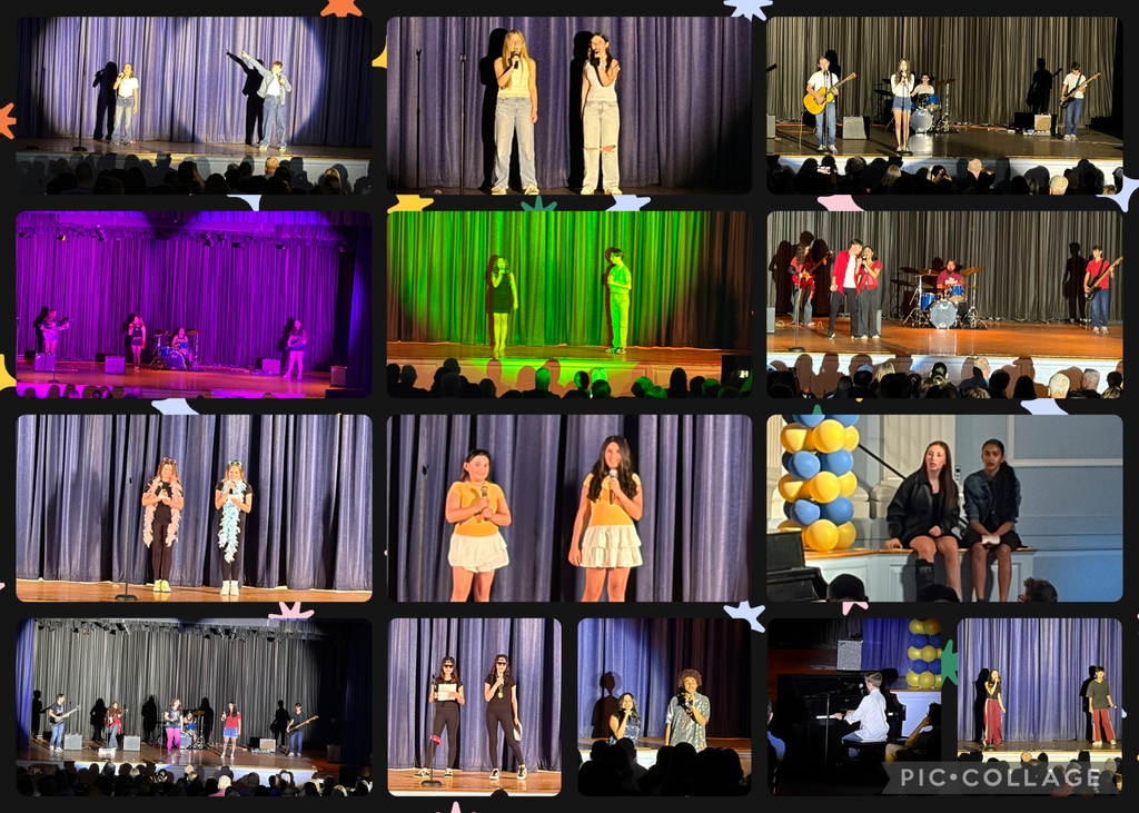 Performers of variety show
