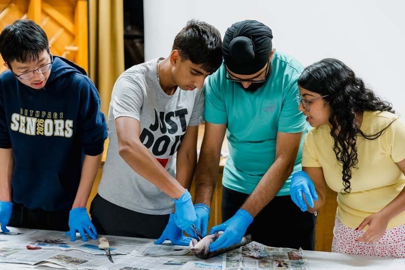 Students touching marine animal.
