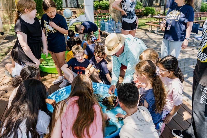 Students touching marine animal.