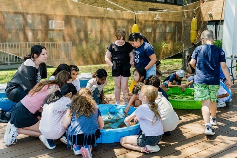 Students touching marine animal.