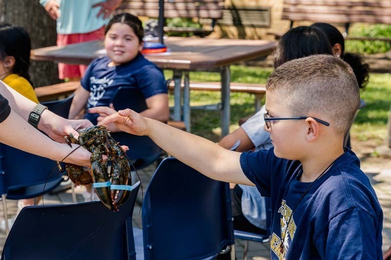 Students touching marine animal.