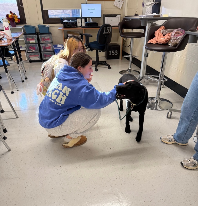 Students at Bethpage High School participate in Animal Welfare Project.