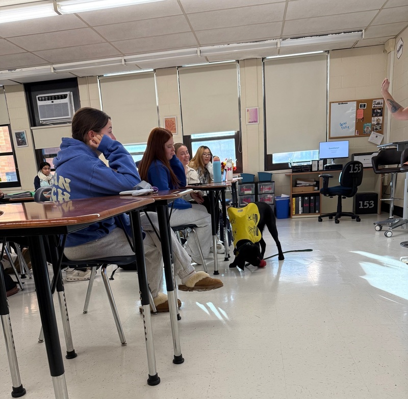 Students at Bethpage High School participate in Animal Welfare Project.