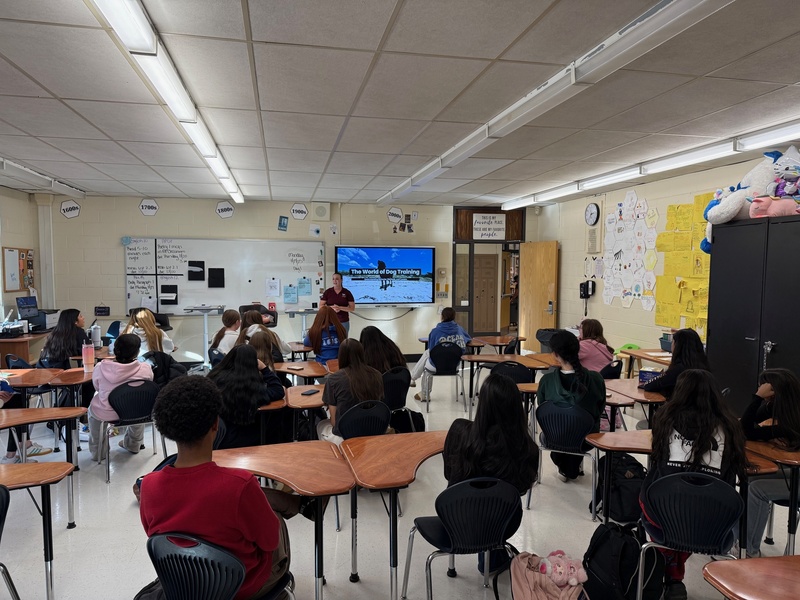 Students at Bethpage High School participate in Animal Welfare Project.