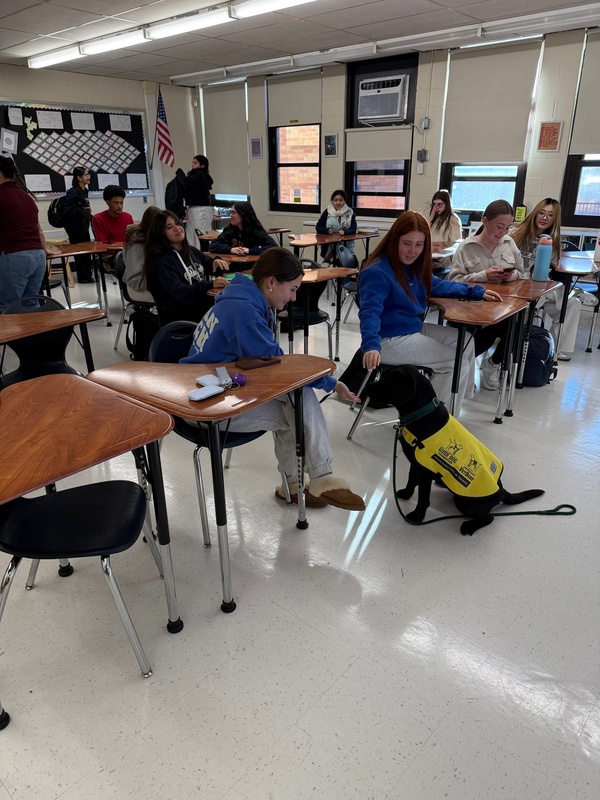 Students at Bethpage High School participate in Animal Welfare Project.