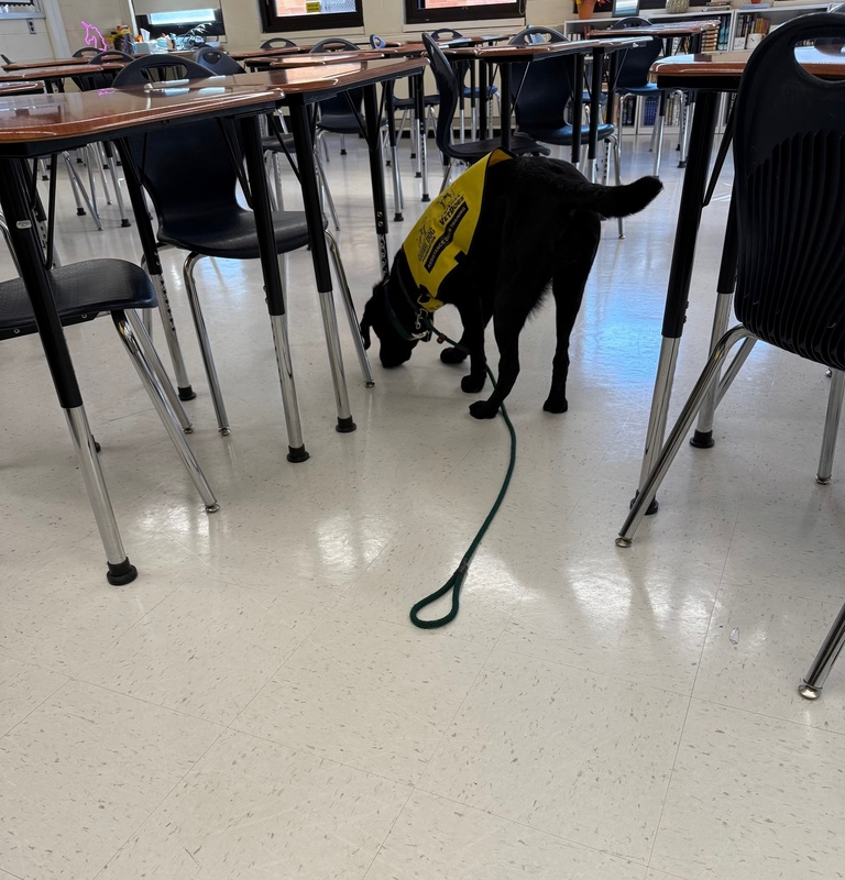 Students at Bethpage High School participate in Animal Welfare Project.