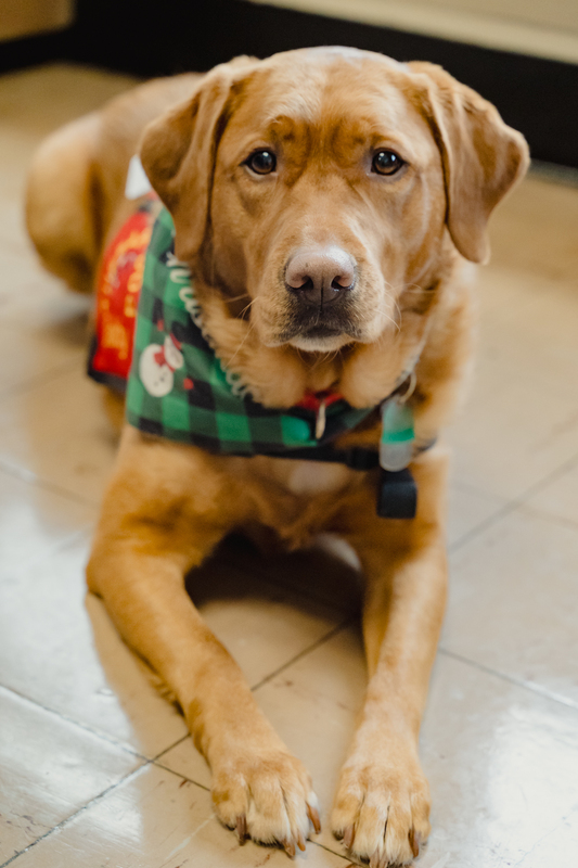 Students at Charles Campagne Elementary School in Bethpage