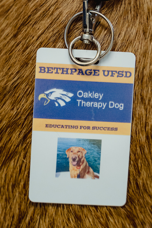 Students at Charles Campagne Elementary School in Bethpage