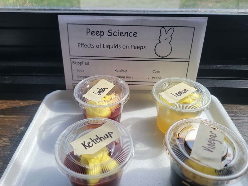 Students in Ms. Cataldi and Mrs. Lemaire's second grade class at Central Boulevard School 