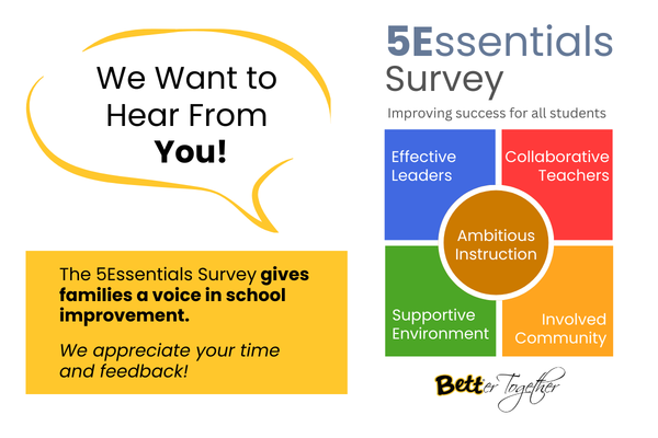  Essential Survey