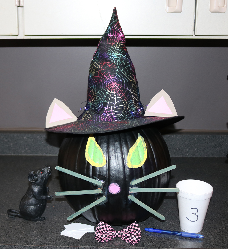 Superintendent - Black cat pumpkin with iridescent web patterened witches hat and ears, tongue depressor whiskers, a pink checkered bow ties and a black mose with bright red eyes