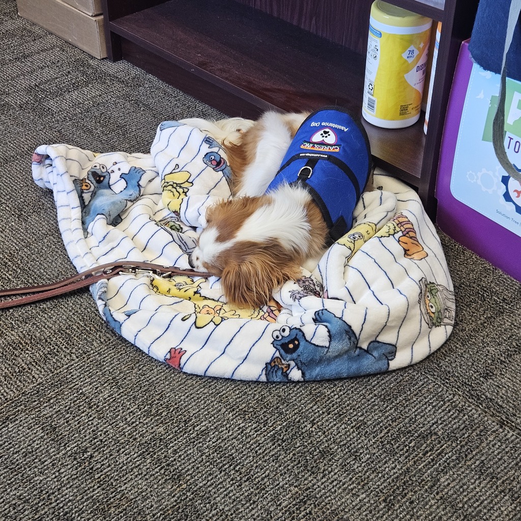 Ernie sneaking in a nap