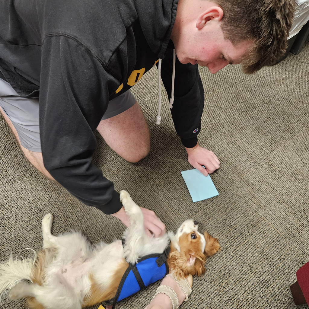 HS student playing with Ernie