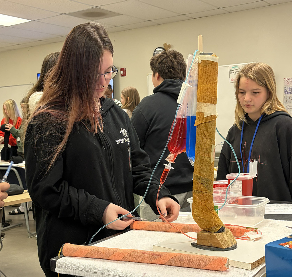Student  practicing putting an IV on an animal's leg