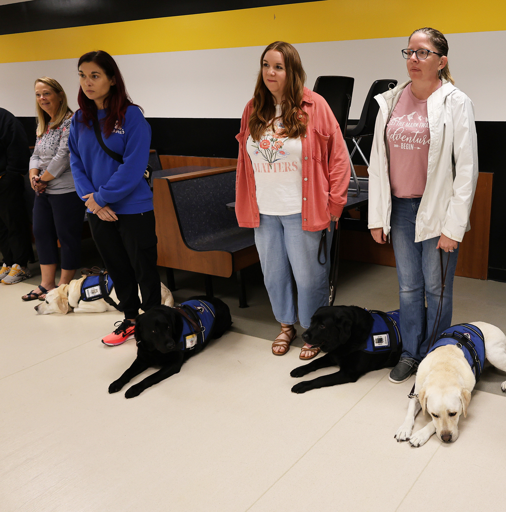 Handlers having dog lay down nexxt to them