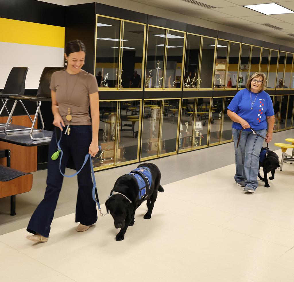 Handlers walking their dogs