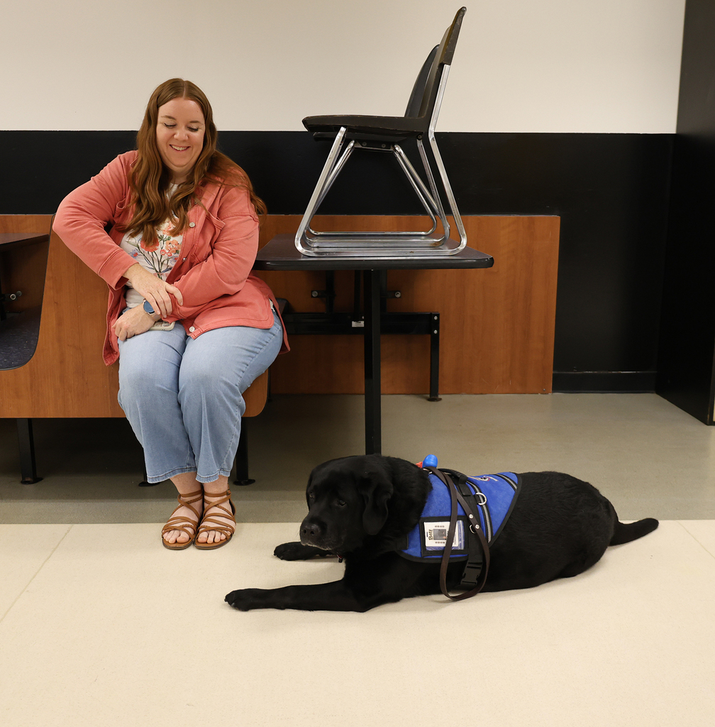Handler watching dog on a stay command