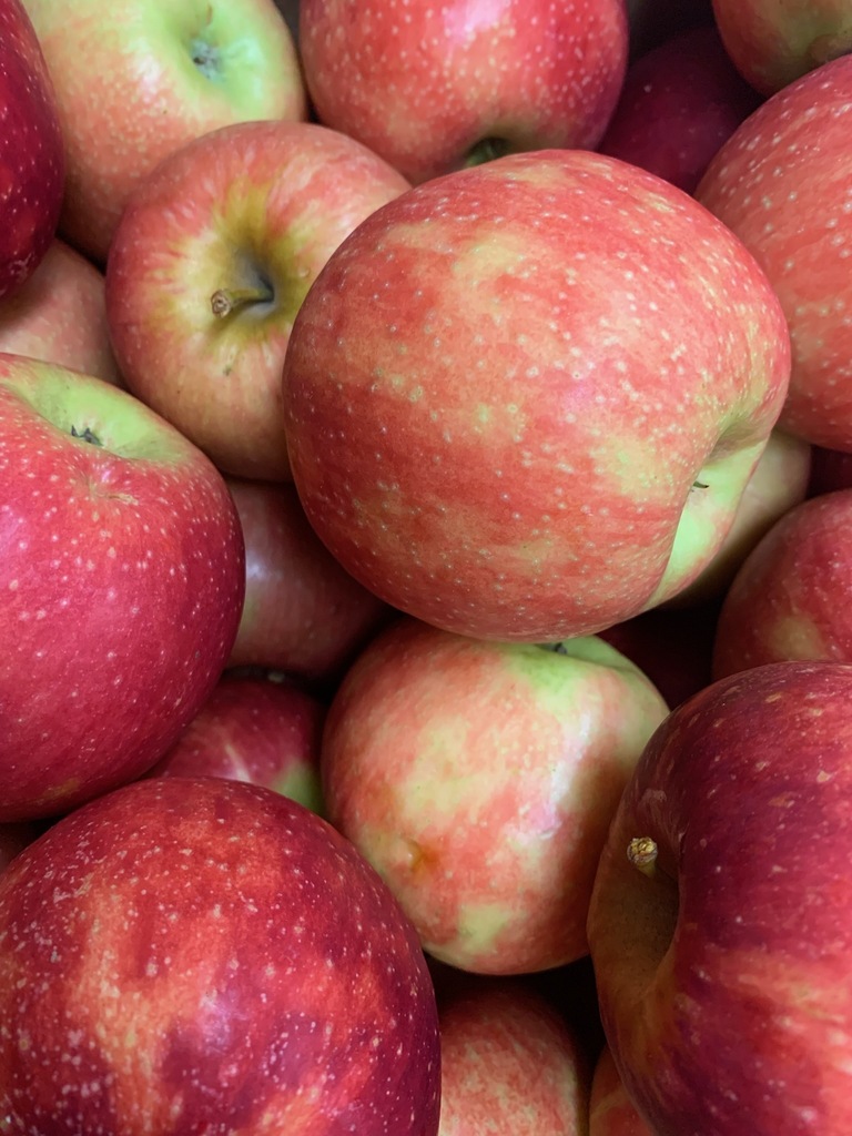 Iowa grown apples