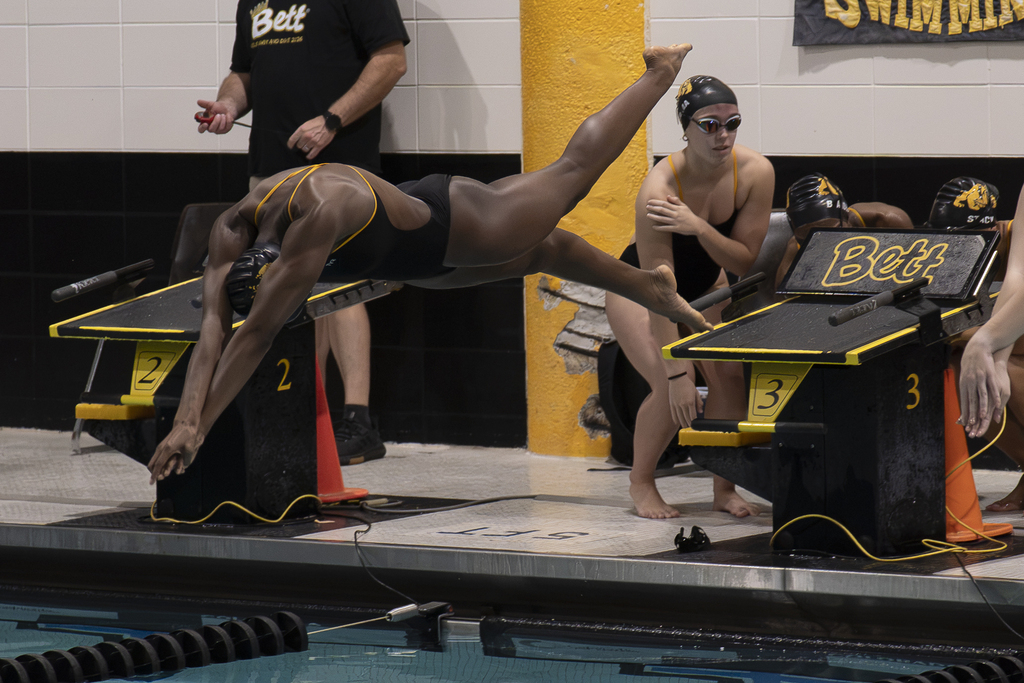 Swimmer diving into the pool