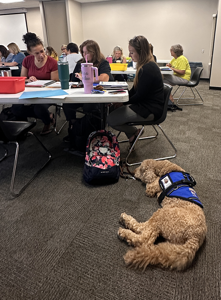 Lexia Learning
