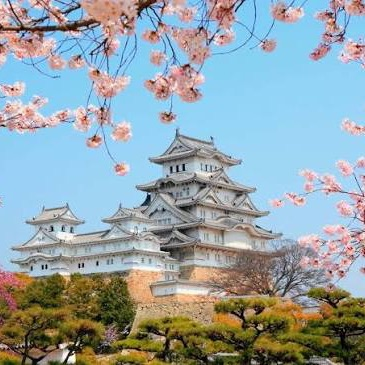 Japan trip