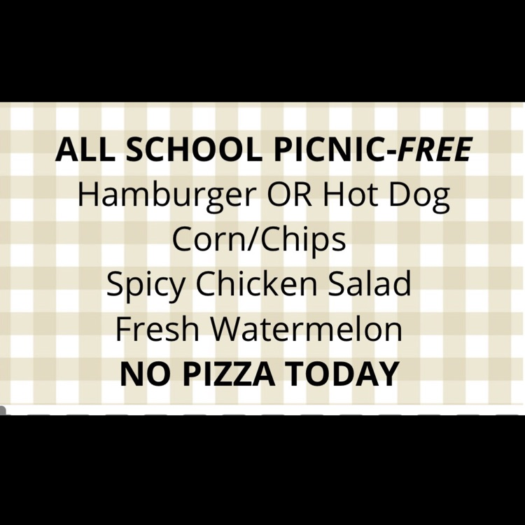 all school picnic