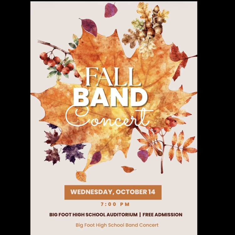 band concert