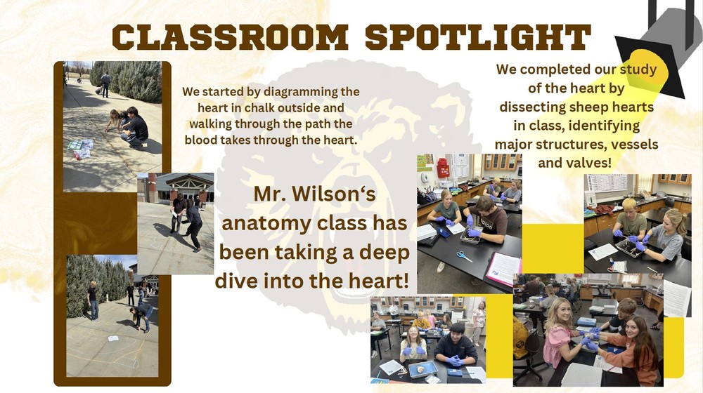 Class Spotlight
