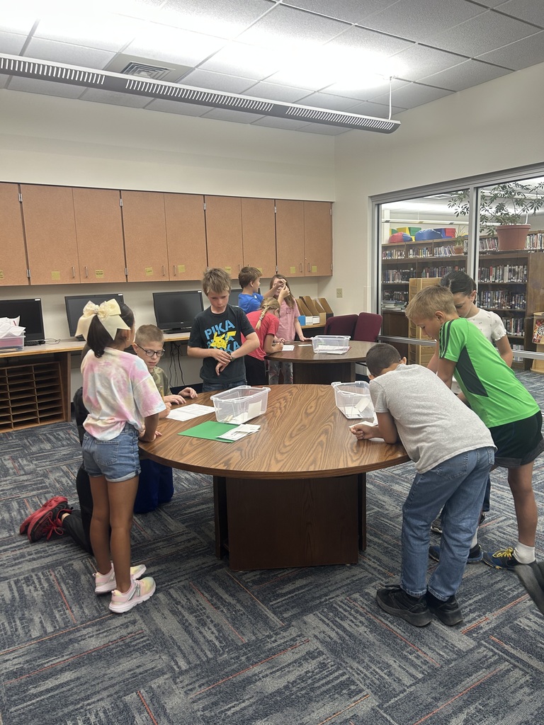 Students Collaborating