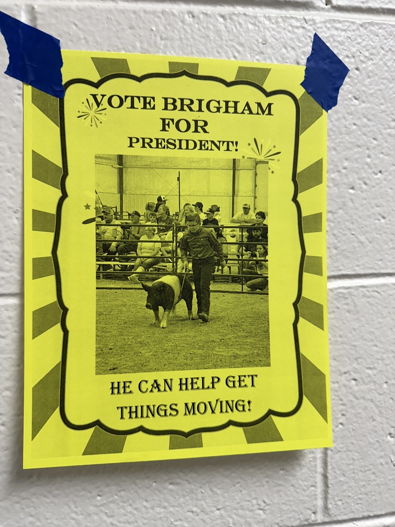StuCo