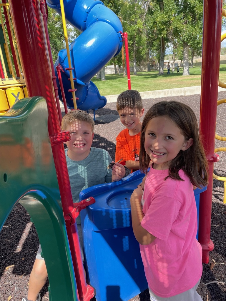 Summer Readers