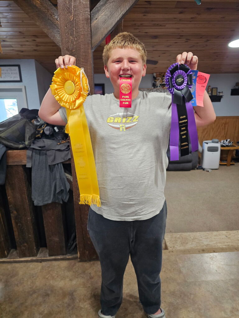 Woodworks ribbons