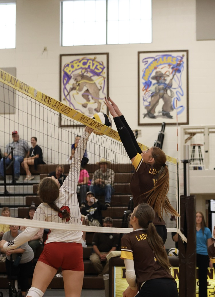 NBHI volleyball