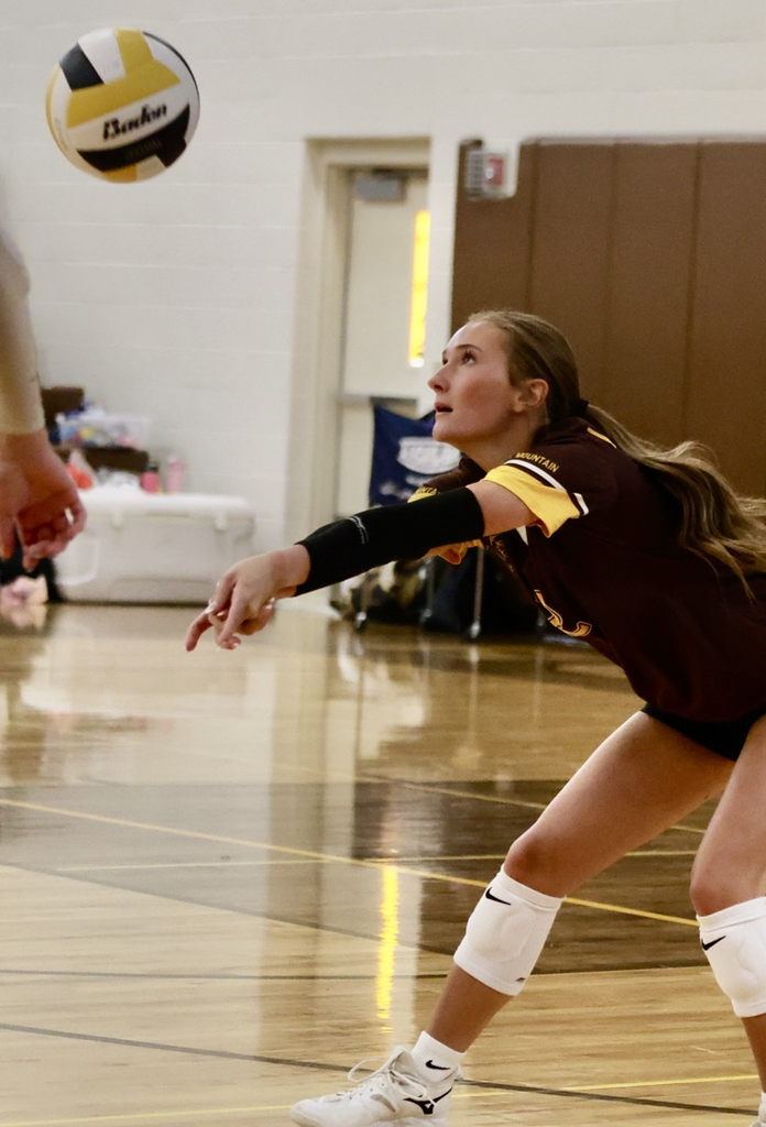NBHI volleyball