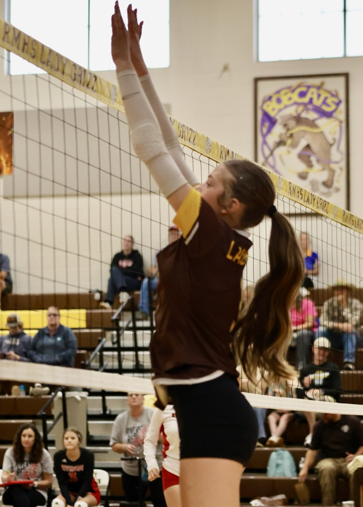 NBHI volleyball