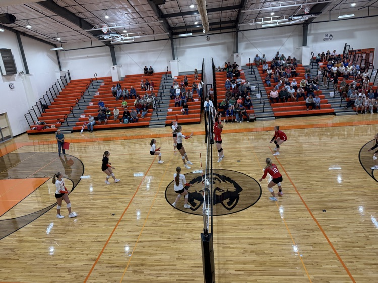 vball
