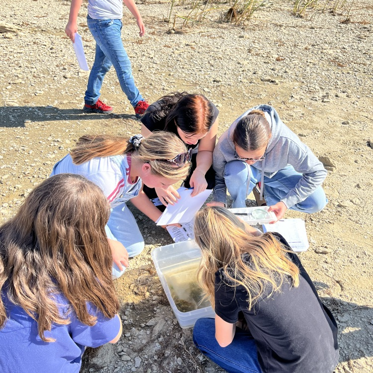 Testing of pH in water.