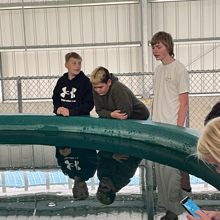 Boys very interested