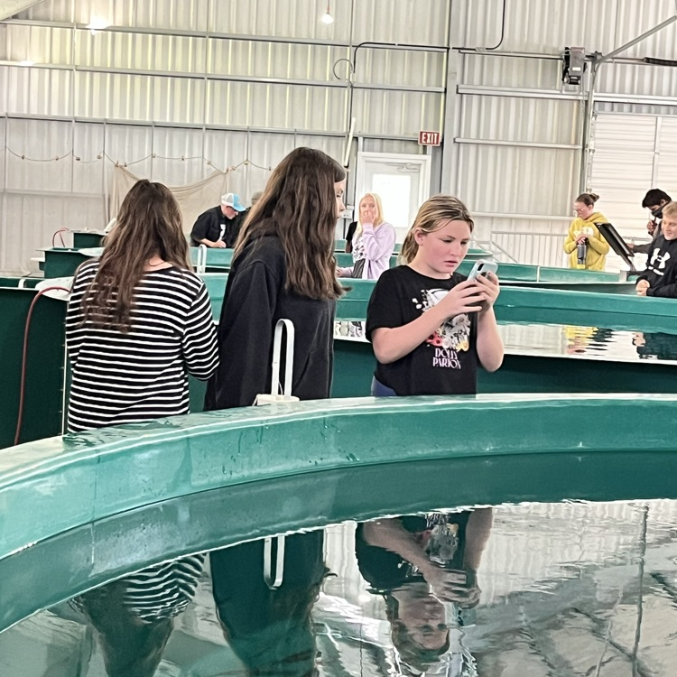taking picts of fish hatchery