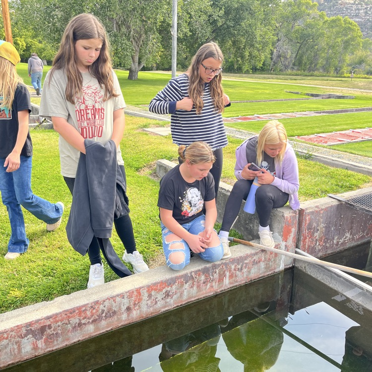 Girls sad about some of the baby fish dying