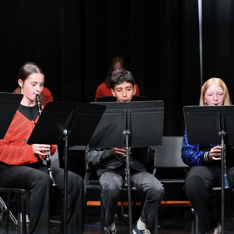 The High School band  