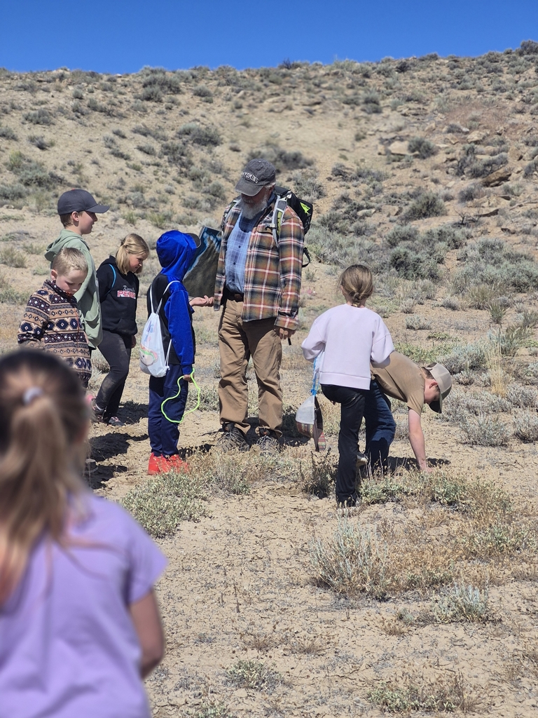 Students hunted for fossils.