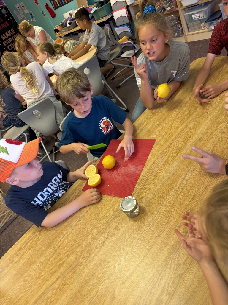 lemonade challenge 